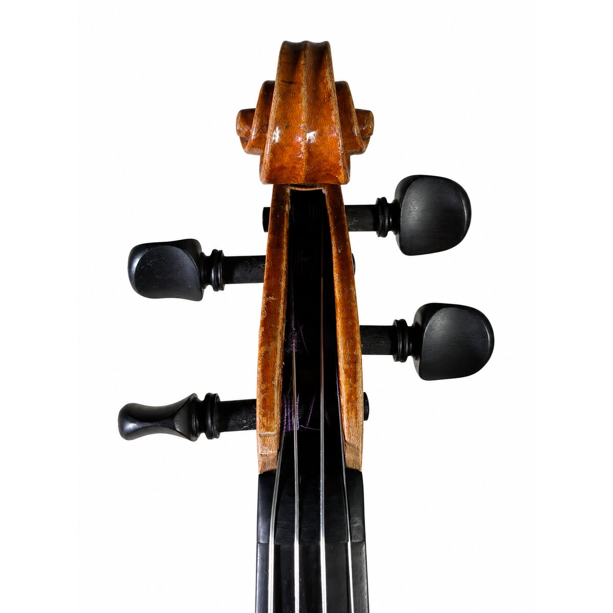 Voluta frontal