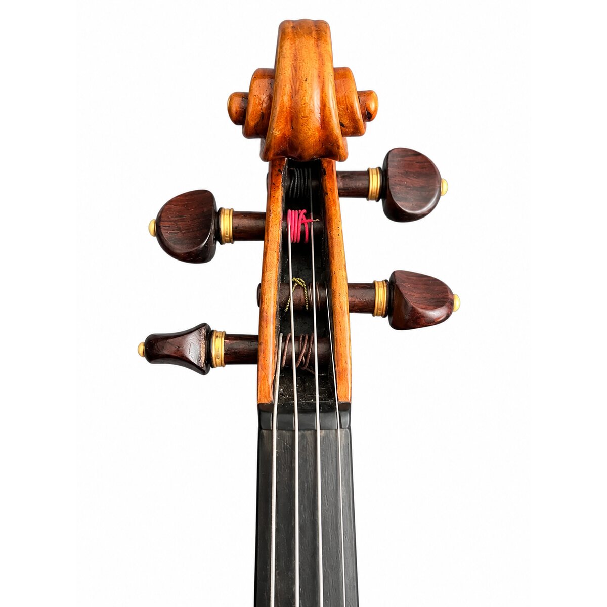 Voluta frontal