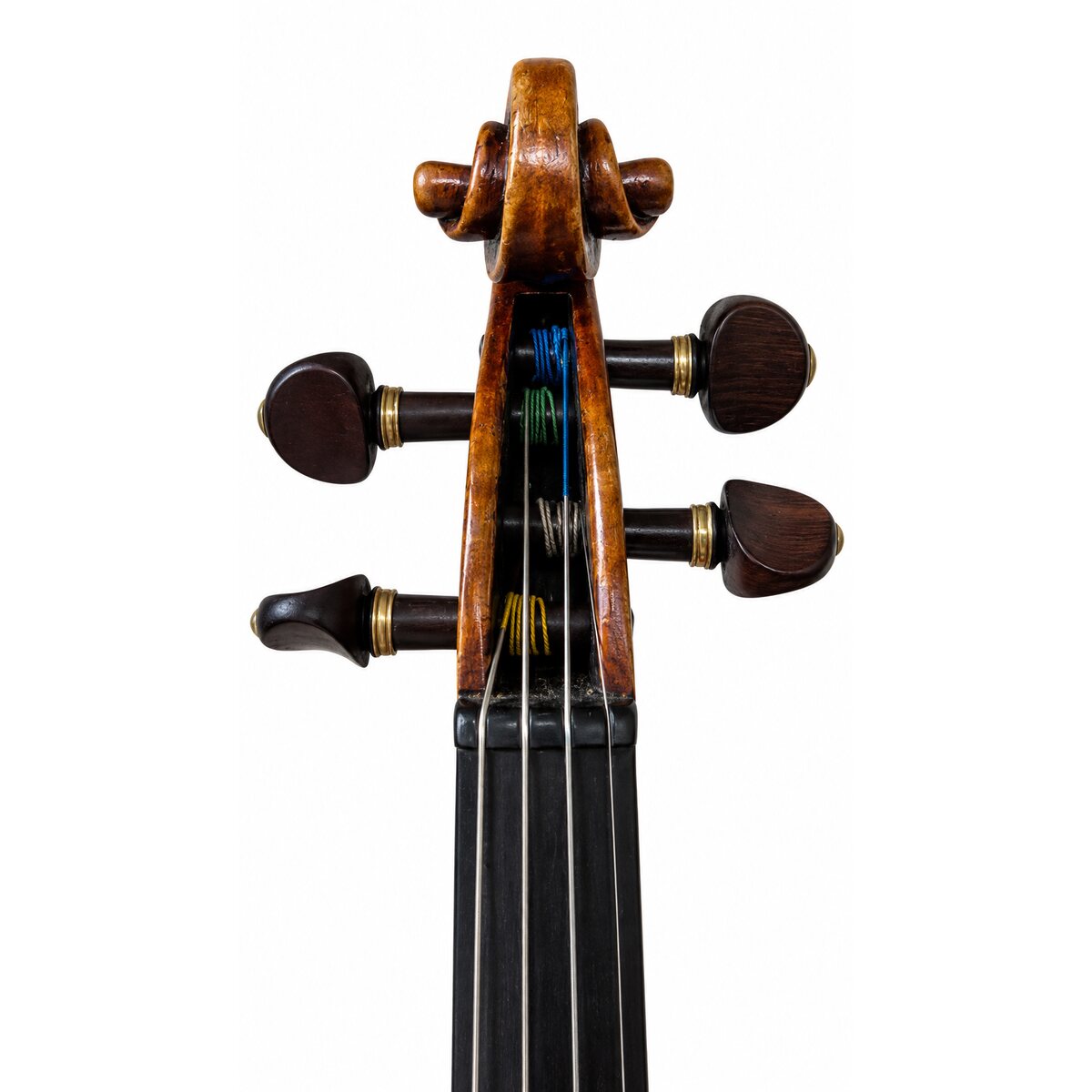 Voluta frontal