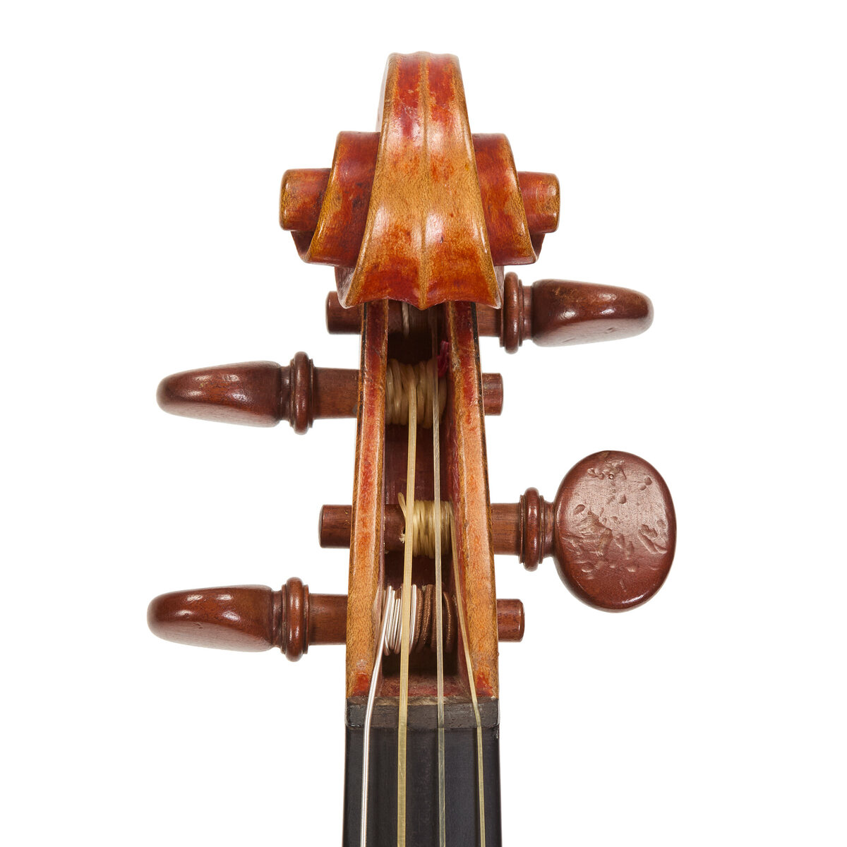 Voluta frontal