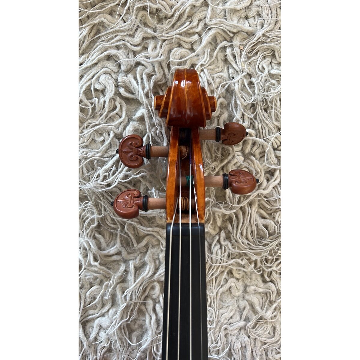 Voluta frontal