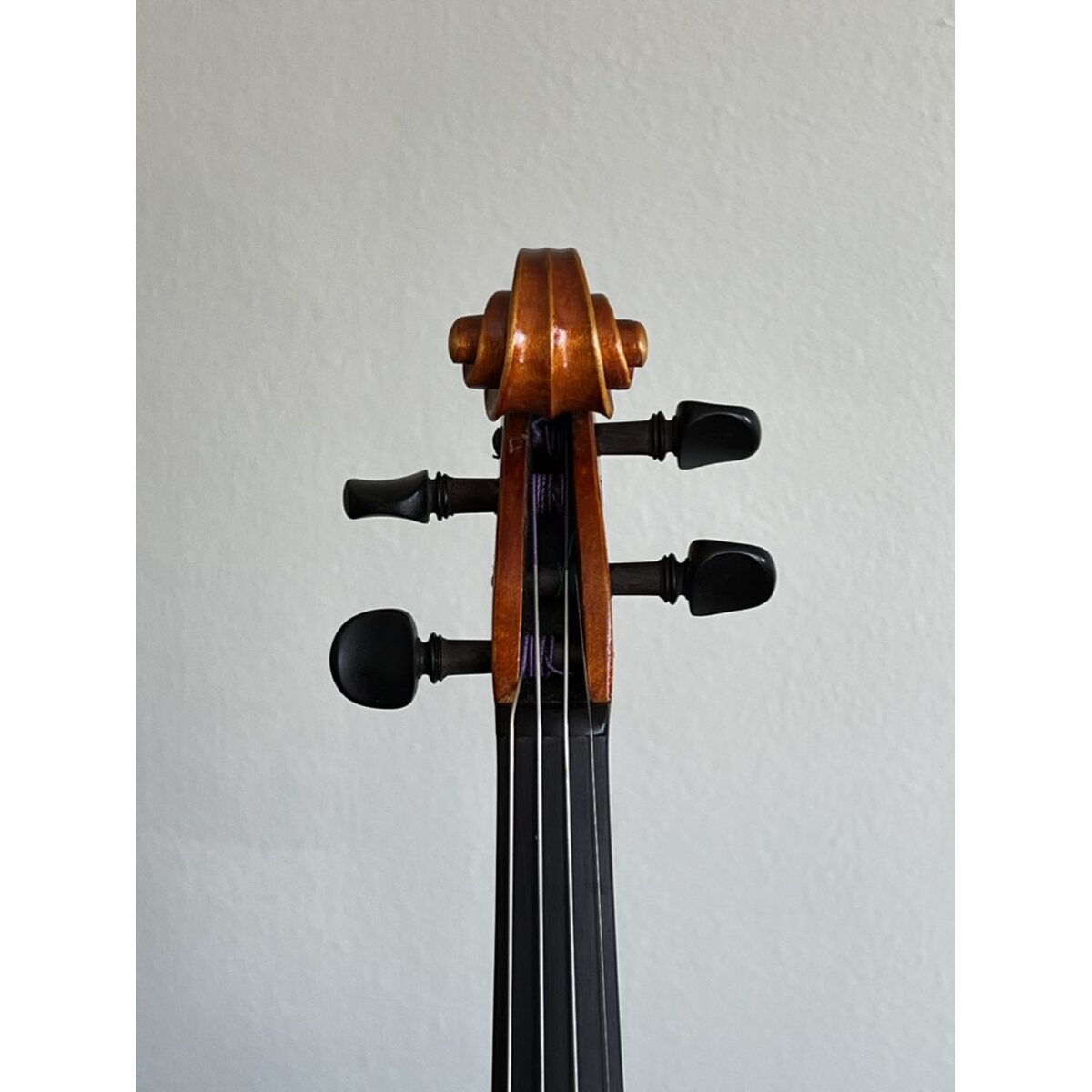 Voluta frontal