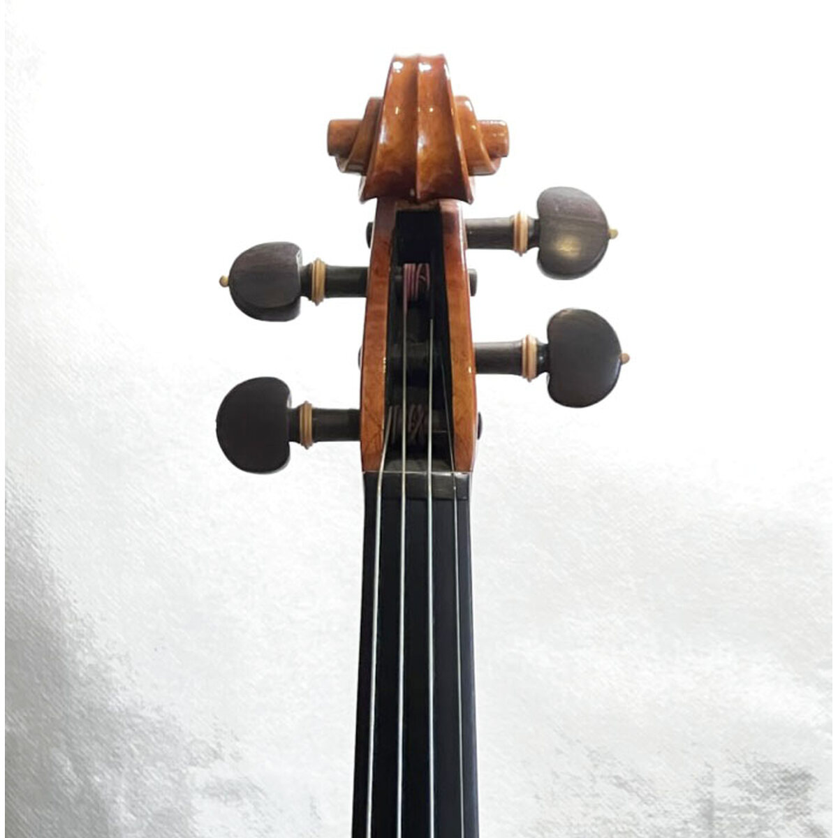 Voluta frontal